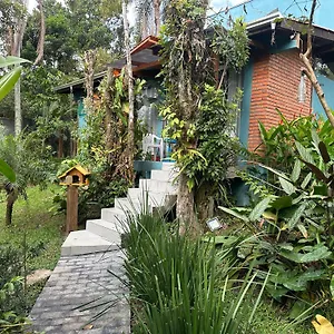 Recanto Dos Passarinhos Linda Casa Com 2 Quartos Balneário Camboriú